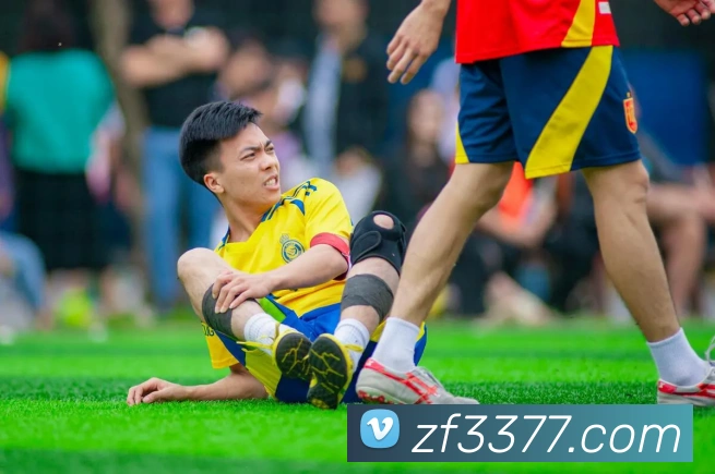 3377APP 封面图